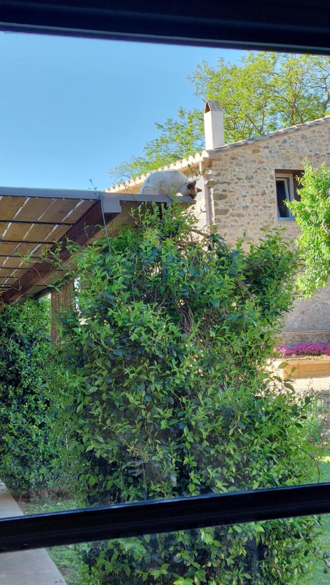 Mas Ferran Adults Only Bed & Breakfast Pals Exterior photo